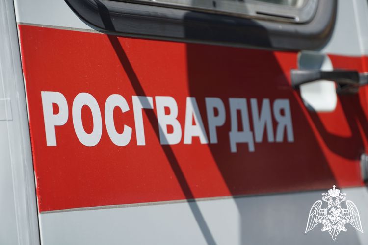 Росгвардейцы задержали нескольких граждан Карелии, совершивших различные правонарушения