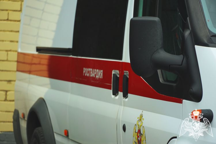 Росгвардейцы задержали 5 правонарушителей, похитивших товары в магазинах Карелии