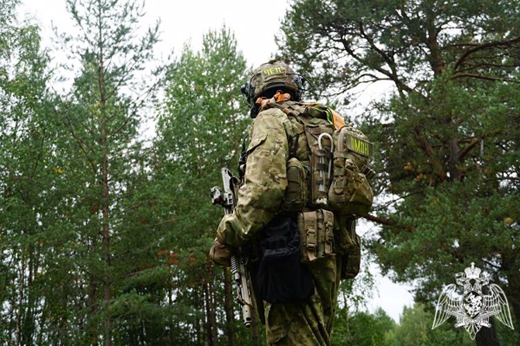 Росгвардейцы Карелии оказали содействие в задержании граждан, подозреваемых в мошенничестве и злоупотреблении полномочиями (видео)