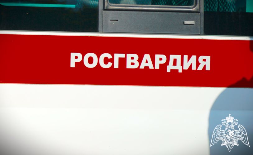 В Карелии патрули Росгвардии пресекли попытки хищения и мелкое хулиганство 