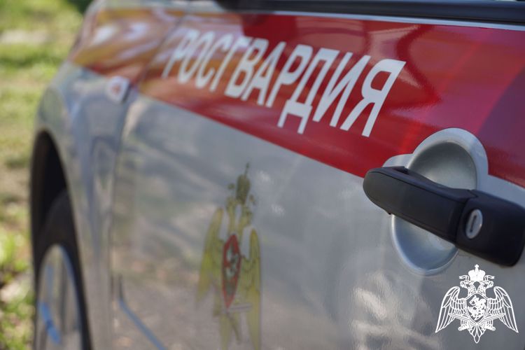 Наряды Росгвардии задержали 5 человек по подозрению в совершении преступлений на охраняемых объектах Карелии