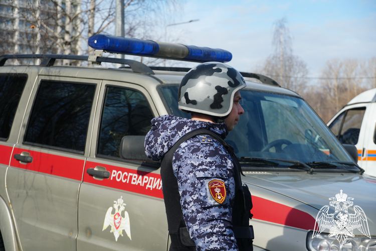 Двое правонарушителей были задержаны в районах Карелии представителями Росгвардии