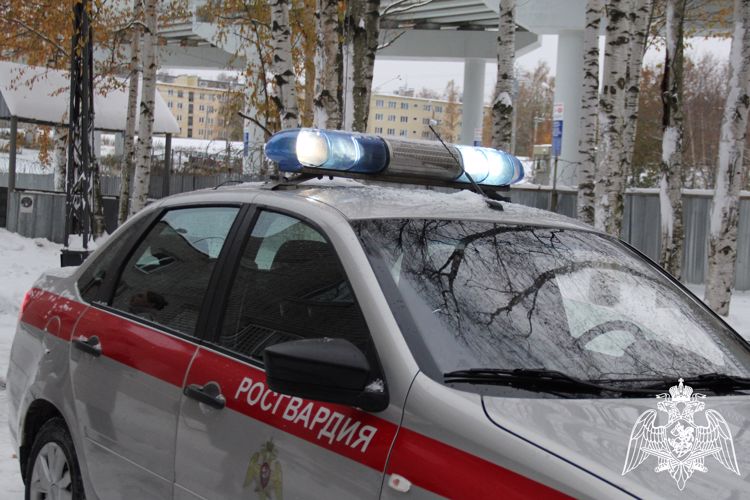 Четверо правонарушителей задержаны в Карелии за сутки