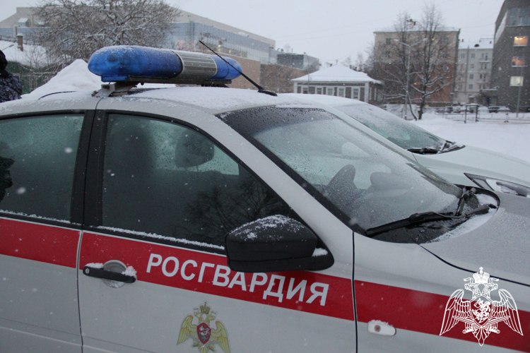 Представители торговых заведений Карелии несколько раз обращались за помощью к росгвардейцам