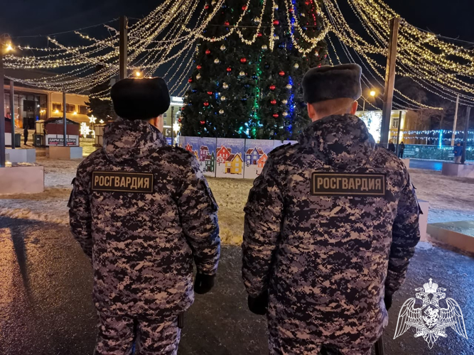 Росгвардейцы Карелии обеспечат правопорядок и безопасность граждан в новогодние праздники