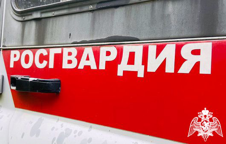 Росгвардейцы задержали петрозаводчанку, отказавшуюся расплачиваться в ресторане
