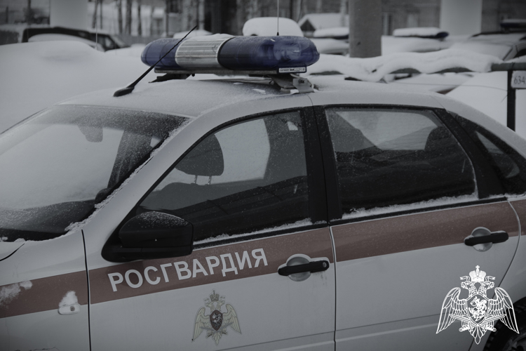 Представителям торговых заведений Петрозаводска потребовалась помощь росгвардейцев