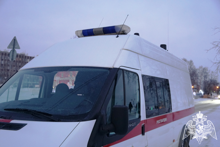В столице Карелии росгвардейцы обеспечили правопорядок при проведении международного фестиваля «Гиперборея-2024» (видео)