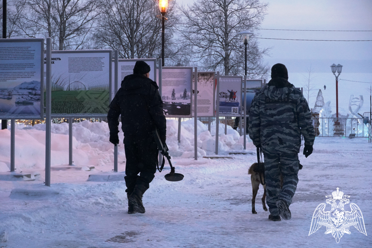 В столице Карелии росгвардейцы обеспечили правопорядок при проведении международного фестиваля «Гиперборея-2024» (видео)