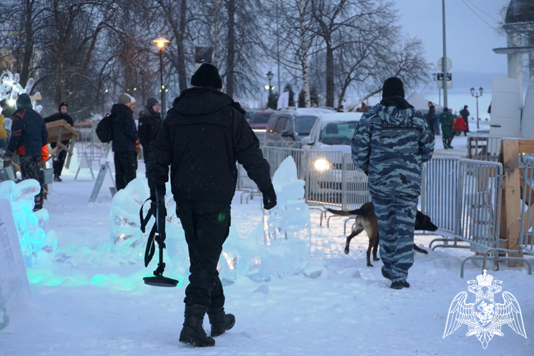 В столице Карелии росгвардейцы обеспечили правопорядок при проведении международного фестиваля «Гиперборея-2024» (видео)