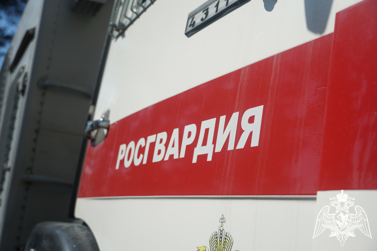 Росгвардейцы задержали петрозаводчанина, который дебоширил в баре