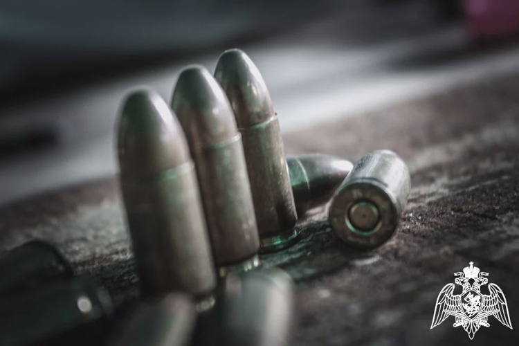 Представители Росгвардии в Карелии провели 135 проверок обеспечения сохранности огнестрельного оружия 
