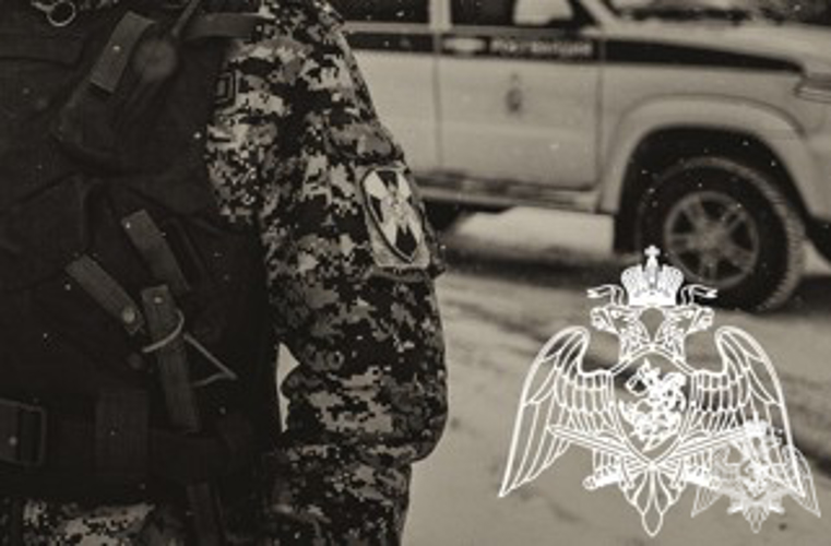 Представители Росгвардии задержали жителя Карелии, вернувшегося на место происшествия
