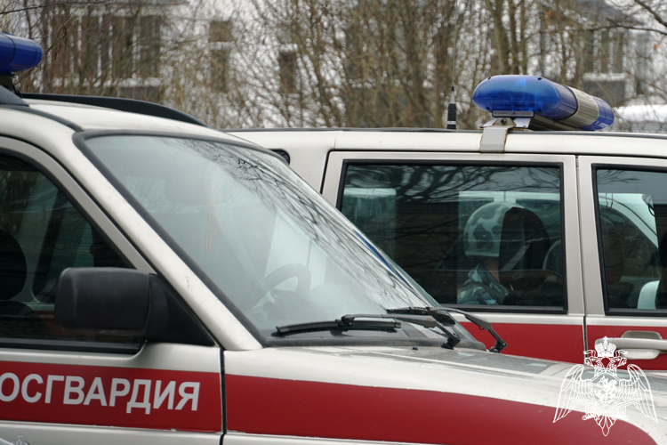 В последний день зимы карельские росгвардейцы задержали подростка с 10 плитками шоколада