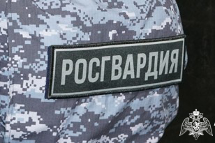 В Карелии автопатрули Росгвардии пресекли действия нарушителей, попавшихся на хищении спиртного