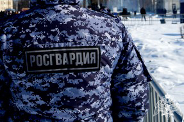 Нетрезвые граждане нарушили покой жителей Карелии и были задержаны росгвардейцами