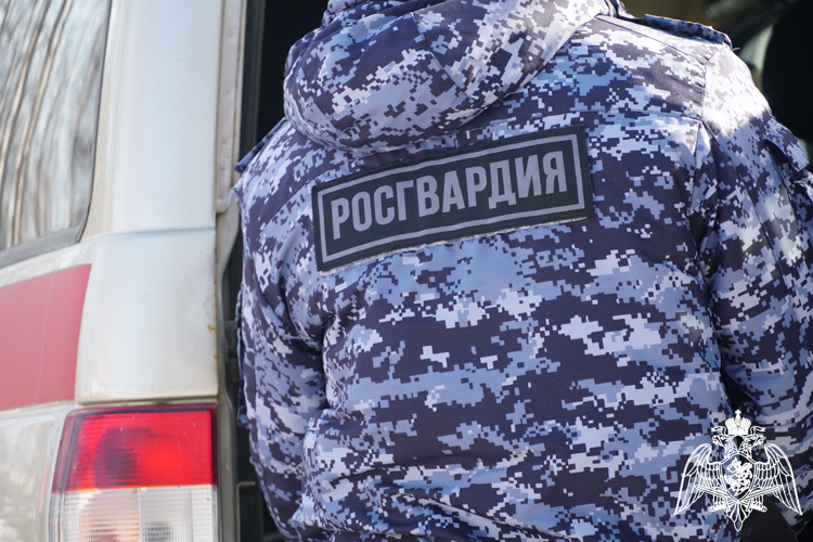 Сигнализация сработала на двух объектах Карелии, охраняемых вневедомственной охраной Росгвардии