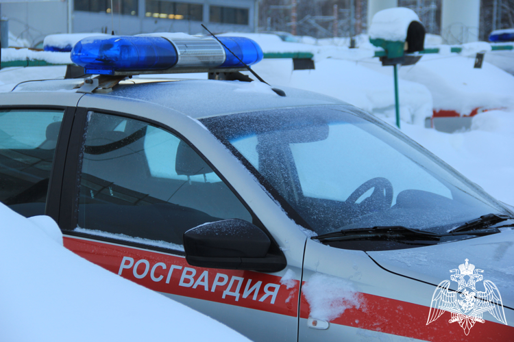 Росгвардейцы Карелии задержали подростка и любительницу шоколада за попыткой хищения