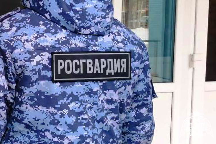 Вневедомственная охрана Росгвардии задержала нетрезвого водителя фуры в Петрозаводске