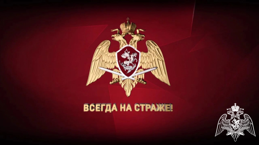 Жителей Карелии приглашают на военную службу по контракту в новые подразделения Росгвардии