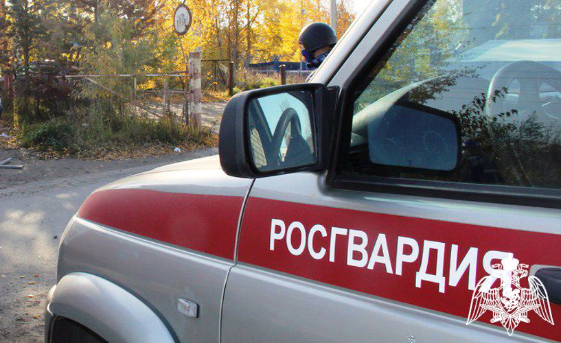 Наряды Росгвардии задержали 10 правонарушителей на охраняемых объектах Карелии