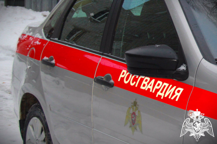  Дебошир был задержан росгвардейцами в баре Костомукши