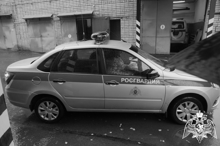  В торговых заведениях Петрозаводска задержаны двое нарушителей