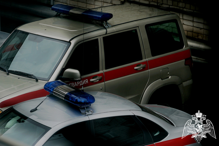 В майские праздники росгвардейцы задержали 5 дебоширов на охраняемых объектах Карелии