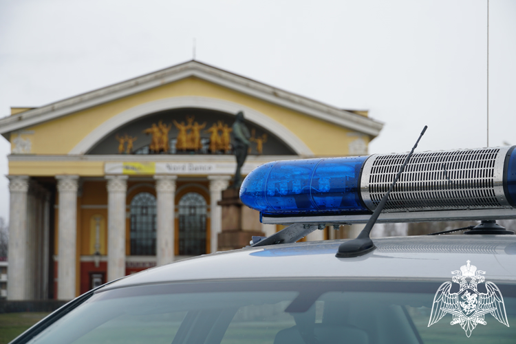 Наряды Росгвардии пресекли действия дебоширов на охраняемых объектах Карелии