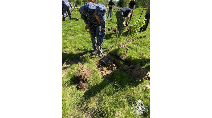 В Карелии росгвардейцы приняли участие в экологической акции по высадке саженцев сирени