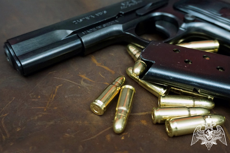 У жителей Карелии изъяли 7 единиц оружия и свыше 130 патронов