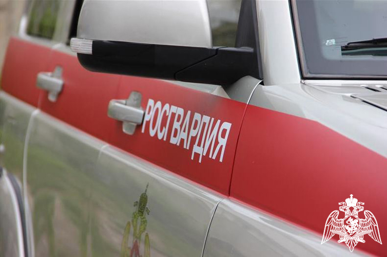 Наряды Росгвардии задержали двух нарушителей на охраняемых объектах Карелии