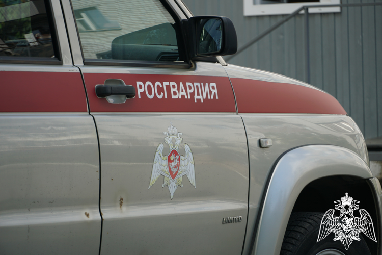 Проникновение на охраняемый объект Петрозаводска пресекли сотрудники Росгвардии