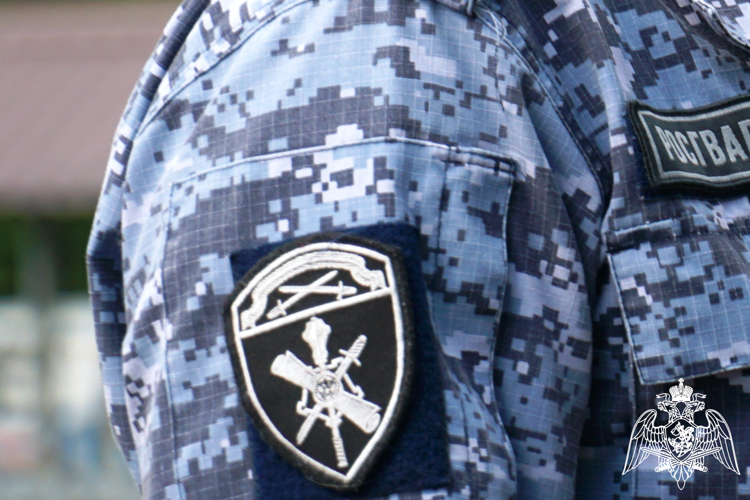 В Карелии росгвардейцы задержали двух похитителей товаров