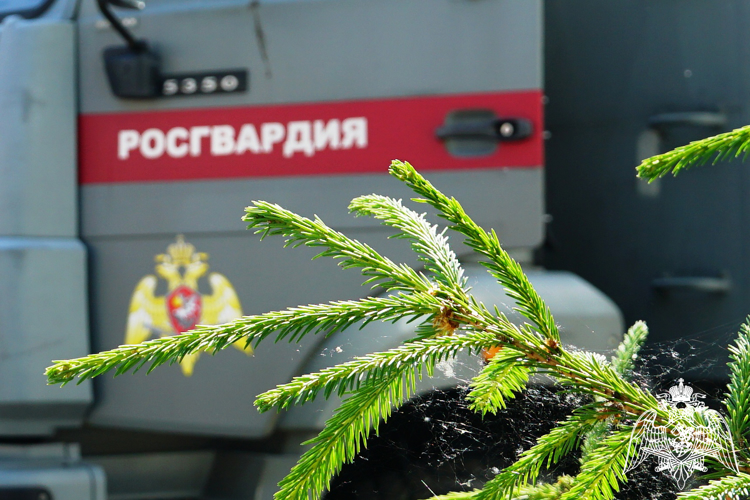 Росгвардейцы пресекли драку в ресторане Петрозаводска