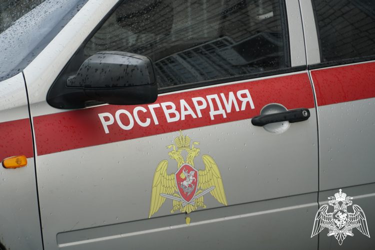Росгвардейцы Карелии задержали гражданина испортившего товар