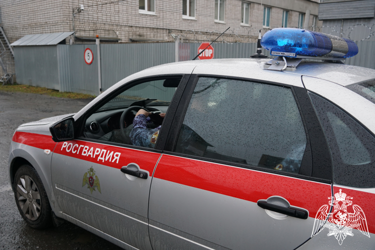 Росгвардейцы Карелии задержали гражданку, дважды совершившую попытку хищения товаров