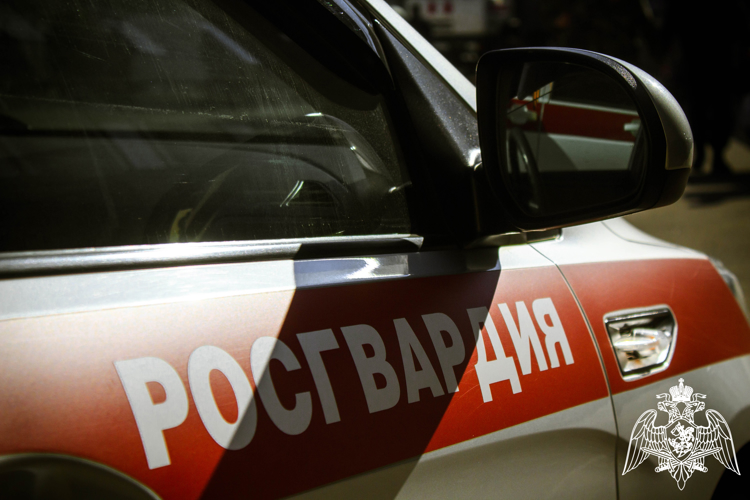 За неделю росгвардейцы Карелии предотвратили 11 попыток хищения организаций