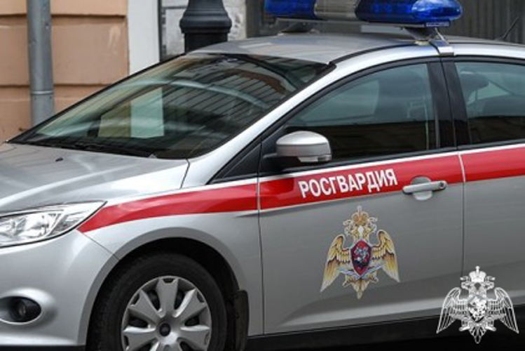 Помощь росгвардейцев понадобилась торговому заведению Петрозаводска