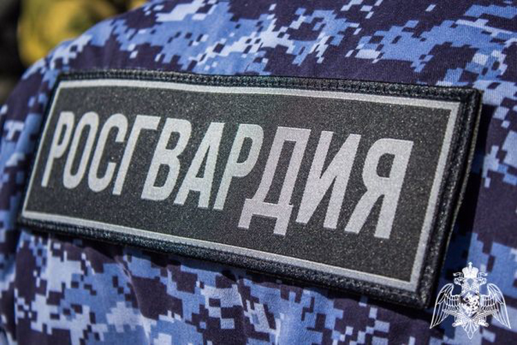 В Сегеже сотрудники Росгвардии задержали нарушителя, который мешал работе кафе и угрожал ножом