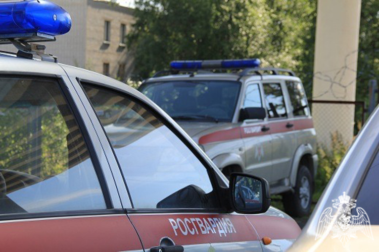 В Карелии сотрудники вневедомственной охраны Росгвардии за неделю пресекли 9 правонарушений в отношении охраняемого имущества