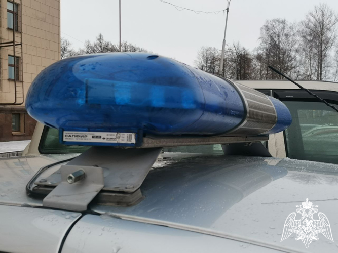 В Карелии сотрудники вневедомственной охраны задержали 10 человек за административные правонарушения