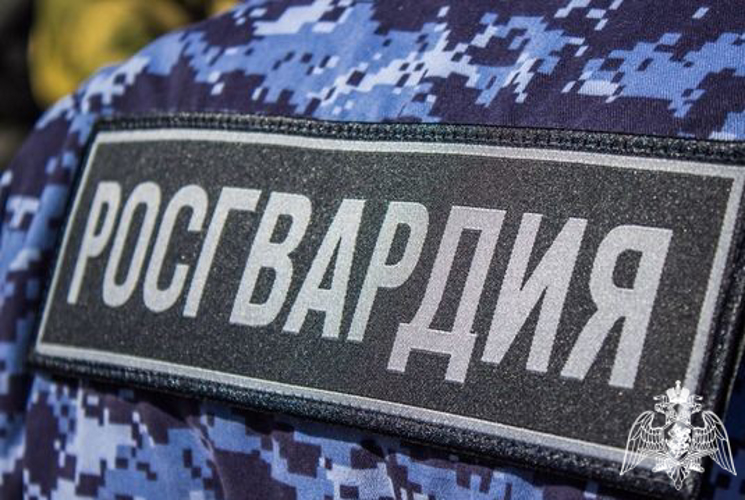 Сотрудники вневедомственной охраны задержали дебошира в Кондопоге