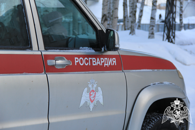 Наряды Росгвардии за неделю свыше 390 раз выезжали на охраняемые объекты Карелии