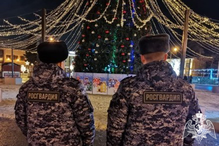 Росгвардейцы Карелии обеспечат правопорядок и безопасность граждан в новогодние праздники