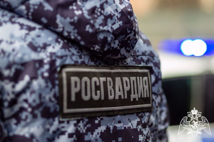 Сотрудники Росгвардии пресекли попытку кражи в столице Карелии