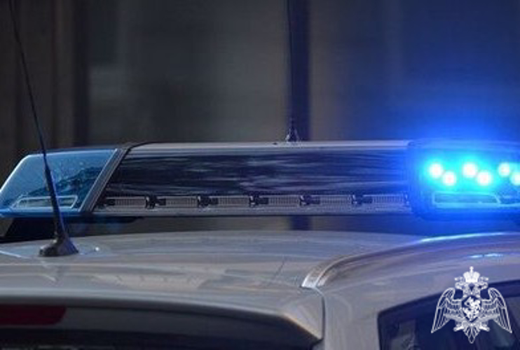Помощь росгвардейцев понадобилась сотрудникам кафе в Сегеже