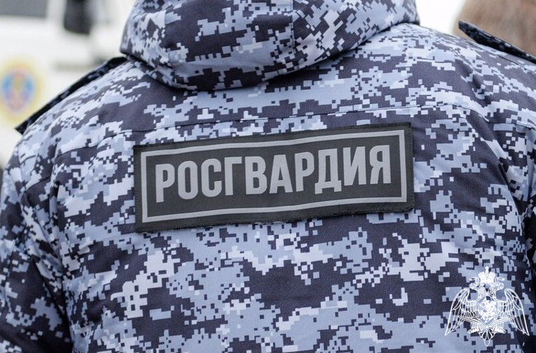 Карельские росгвардейцы за неделю задержали 6 человек за административные правонарушения