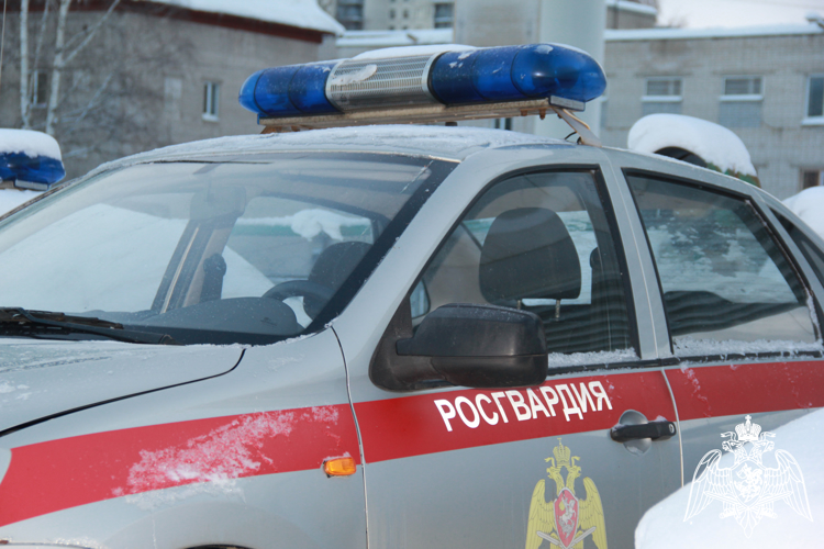 В столице Карелии сотрудники Росгвардии задержали гражданку за повторную попытку кражи