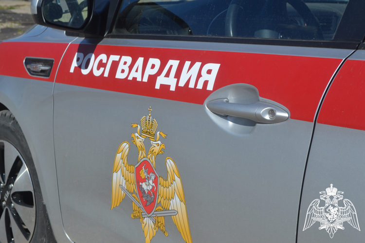 За неделю росгвардейцы, находящиеся на маршрутах патрулирования, задержали 12 человек за административные правонарушения